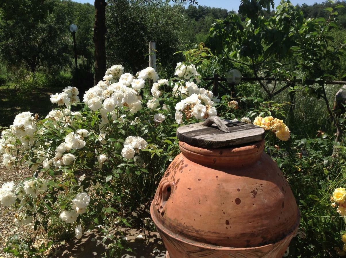 Agriturismo Prato Barone Rufina Bagian luar foto