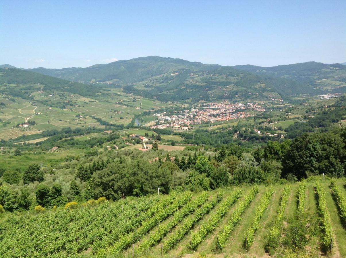 Agriturismo Prato Barone Rufina Bagian luar foto