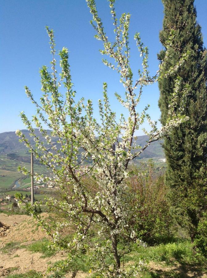 Agriturismo Prato Barone Rufina Bagian luar foto